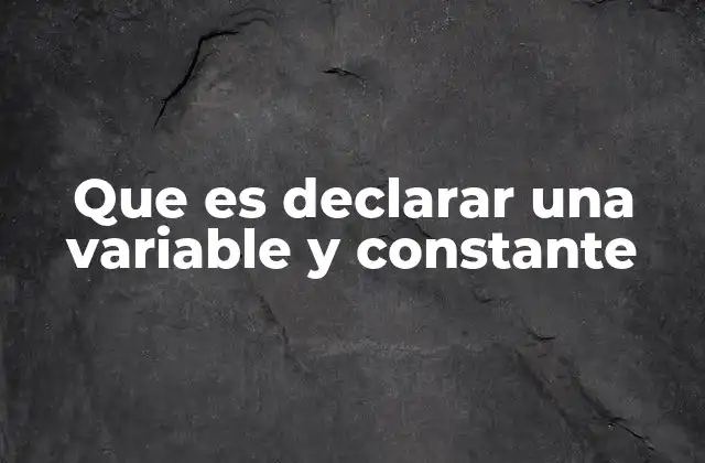 Que es Declarar una Variable y Constante