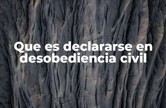 Que es Declararse en Desobediencia Civil