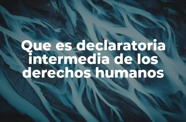 Que es Declaratoria Intermedia de los Derechos Humanos