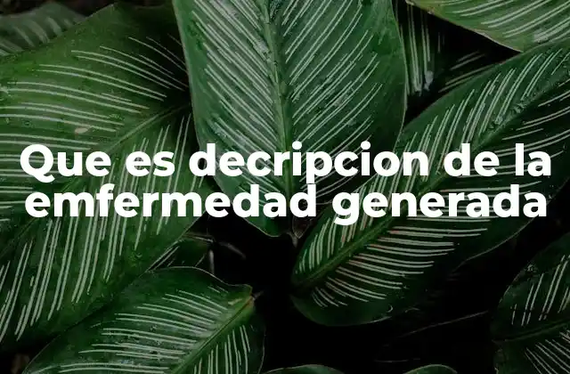 Que es Decripcion de la Emfermedad Generada 2 El papel de la descripción en la comprensión de patologías
