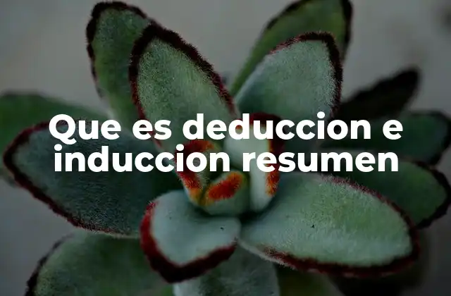Que es Deduccion e Induccion Resumen