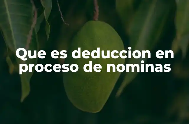 Que es Deduccion en Proceso de Nominas