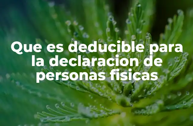 Que es Deducible para la Declaracion de Personas Fisicas