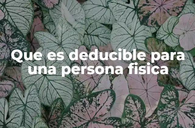 Que es Deducible para una Persona Fisica