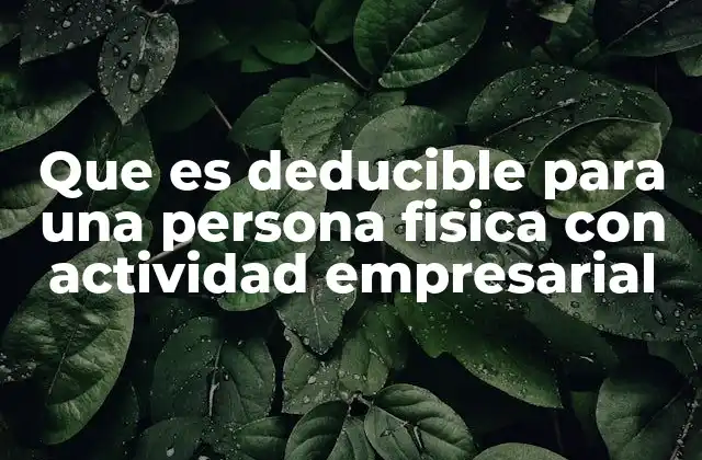 Que es Deducible para una Persona Fisica con Actividad Empresarial