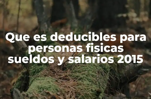 Que es Deducibles para Personas Fisicas Sueldos y Salarios 2015