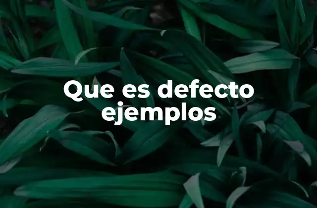 Que es Defecto Ejemplos
