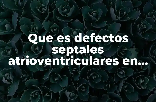 Que es Defectos Septales Atrioventriculares en Niños