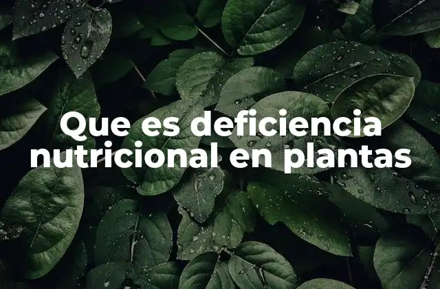 Que es Deficiencia Nutricional en Plantas