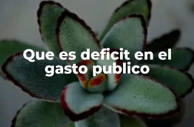 Que es Deficit en el Gasto Publico