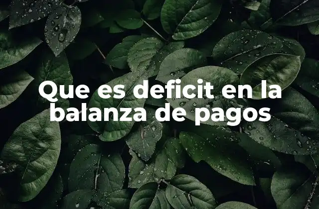Que es Deficit en la Balanza de Pagos