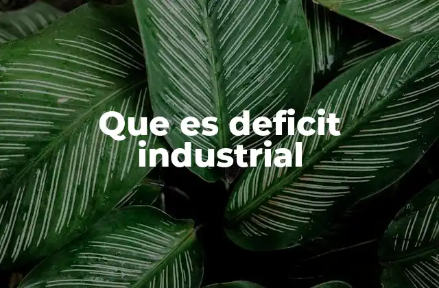 Cómo se mide el déficit industrial