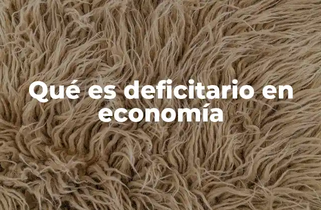 Qué es Deficitario en Economía