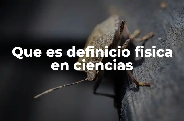 Que es Definicio Fisica en Ciencias