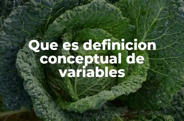 Que es Definicion Conceptual de Variables