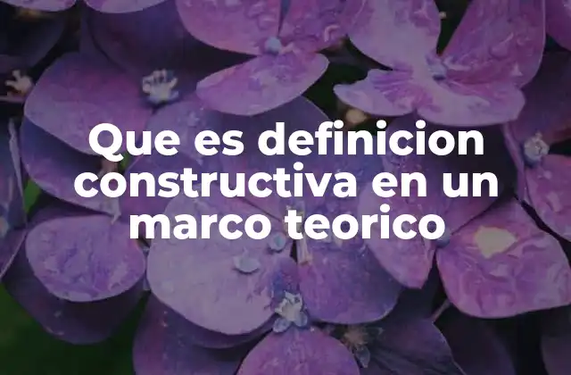 Que es Definicion Constructiva en un Marco Teorico
