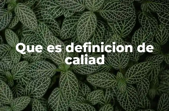 Que es Definicion de Caliad