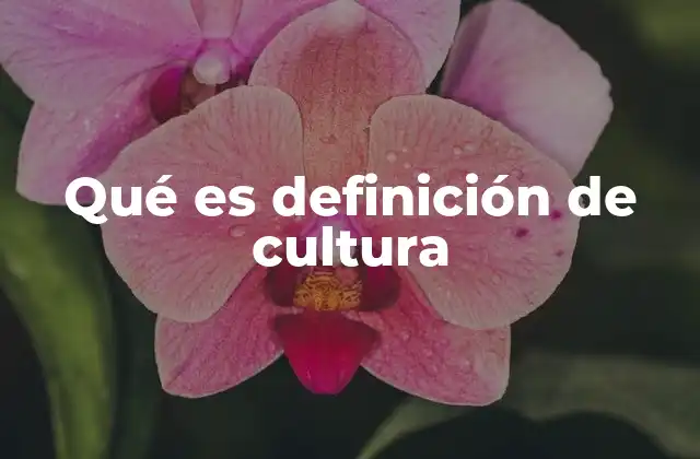 La expresión de la identidad a través de las prácticas culturales
