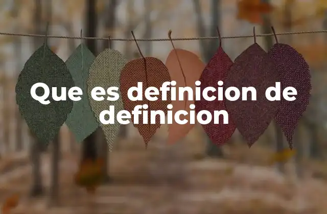 El rol de las definiciones en la construcción del conocimiento