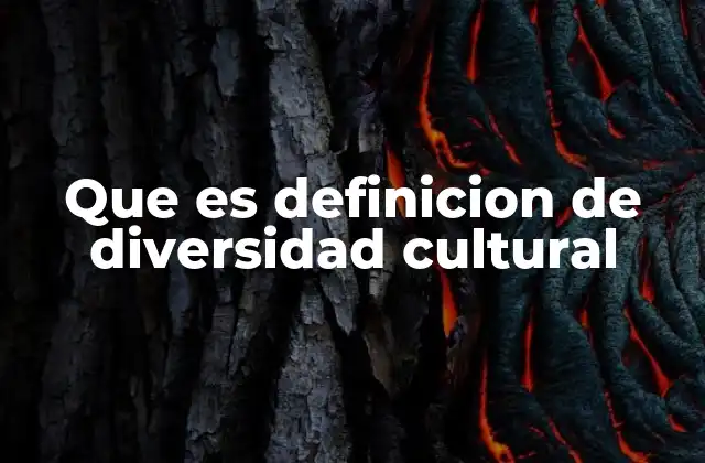 Que es Definicion de Diversidad Cultural