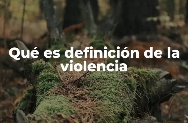 Qué es Definición de la Violencia