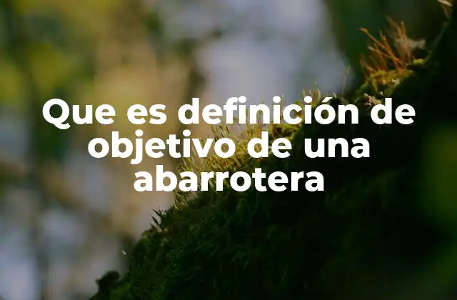 Que es Definición de Objetivo de una Abarrotera