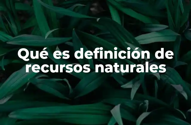 Qué es Definición de Recursos Naturales