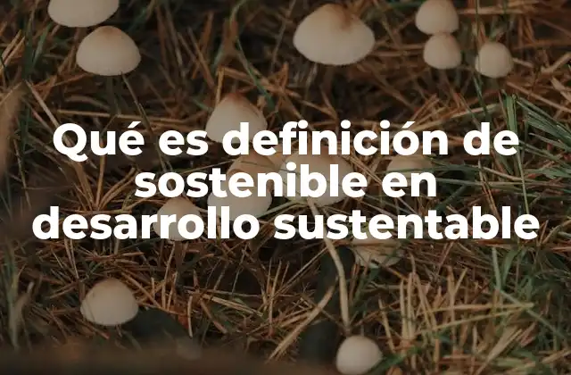 Qué es Definición de Sostenible en Desarrollo Sustentable