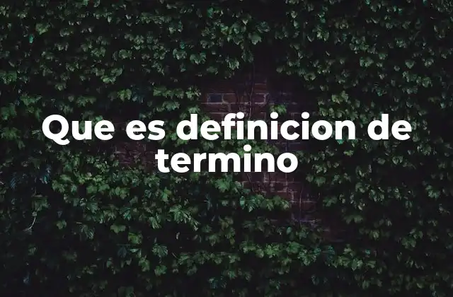 Que es Definicion de Termino