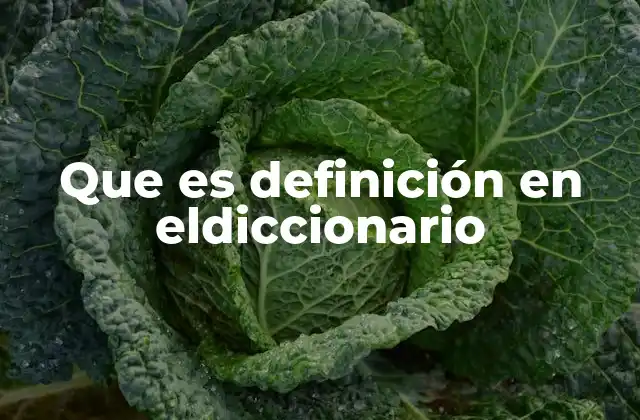 El papel de las definiciones en la comunicación efectiva