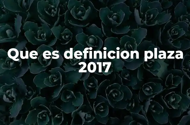 Que es Definicion Plaza 2017