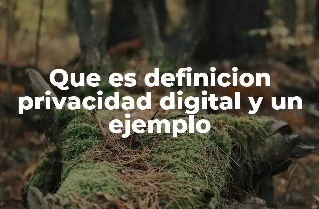 Que es Definicion Privacidad Digital y un Ejemplo