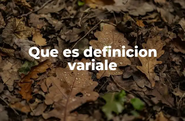 Que es Definicion Variale