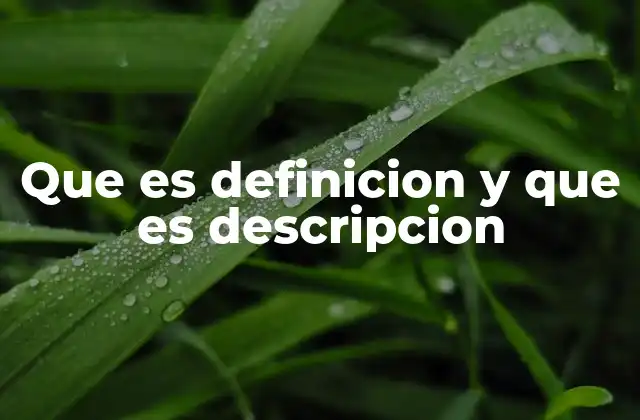 Que es Definicion y que es Descripcion