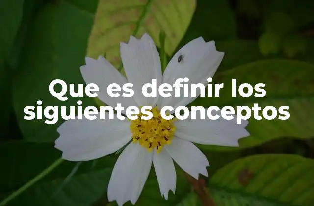 La importancia de la claridad en la definición de conceptos