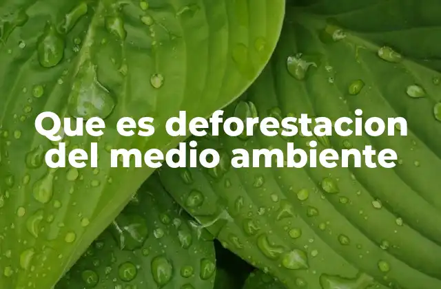 Que es Deforestacion Del Medio Ambiente