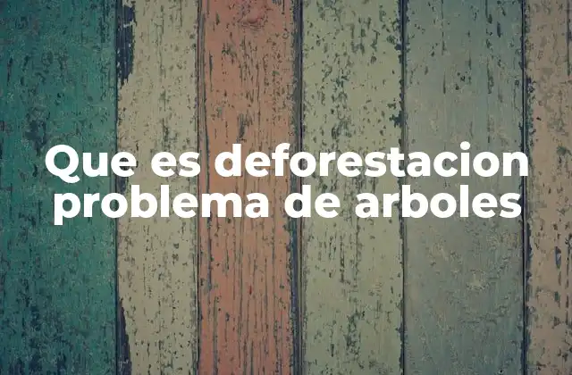 Que es Deforestacion Problema de Arboles