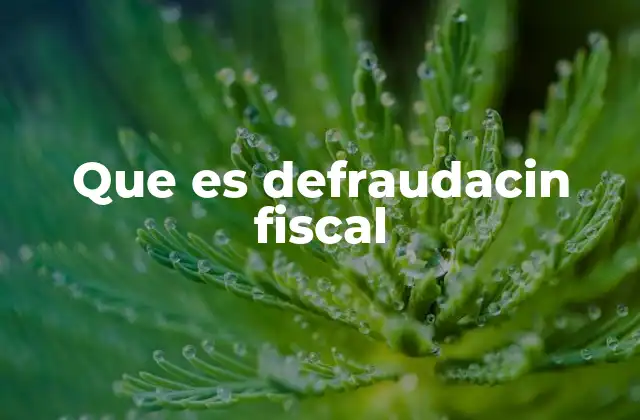 El impacto de la defraudación en la economía nacional