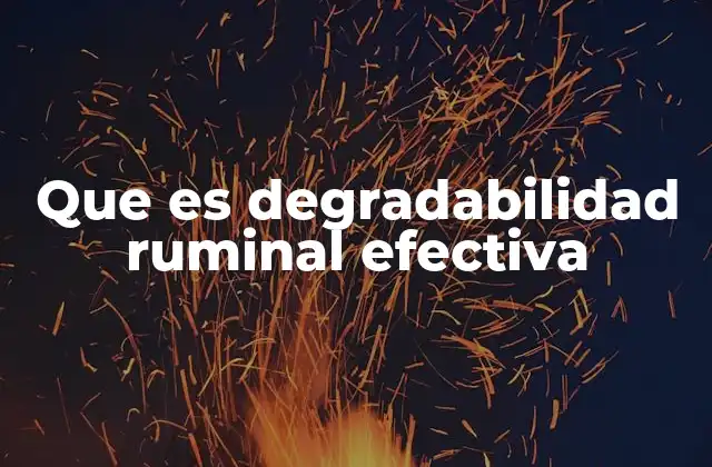 Que es Degradabilidad Ruminal Efectiva
