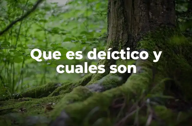 La importancia de los elementos deícticos en la comunicación