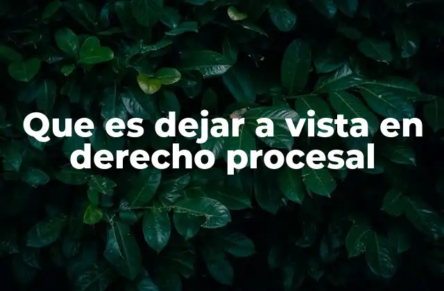 Que es Dejar a Vista en Derecho Procesal