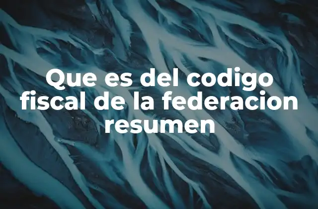 Que es Del Codigo Fiscal de la Federacion Resumen