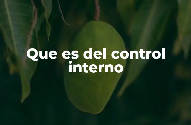 Que es Del Control Interno