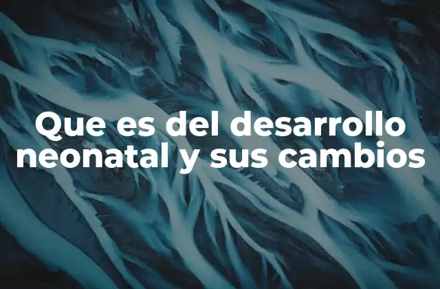 Que es Del Desarrollo Neonatal y Sus Cambios