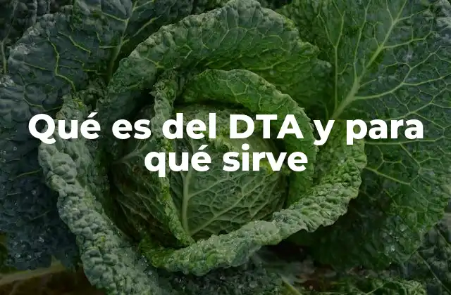 Qué es Del Dta y para Qué Sirve