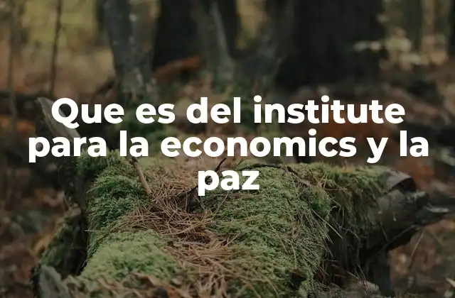 Que es Del Institute para la Economics y la Paz