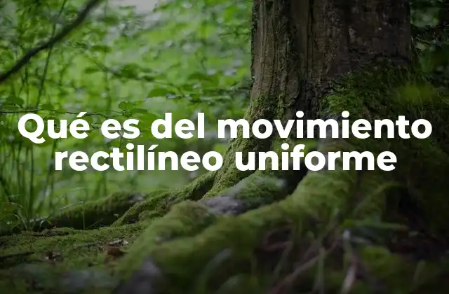Qué es Del Movimiento Rectilíneo Uniforme
