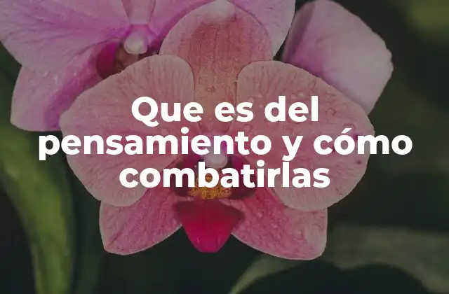 Que es Del Pensamiento y Cómo Combatirlas