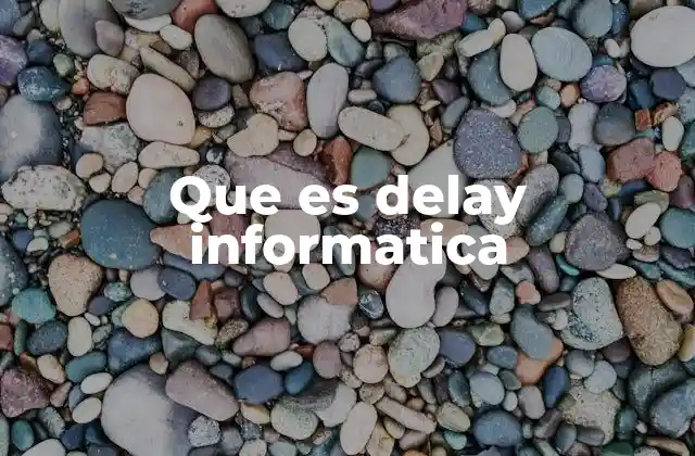 Que es Delay Informatica