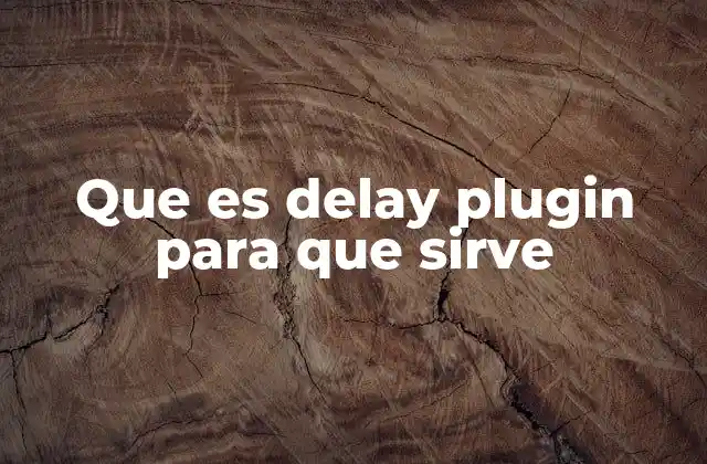 Que es Delay Plugin para que Sirve